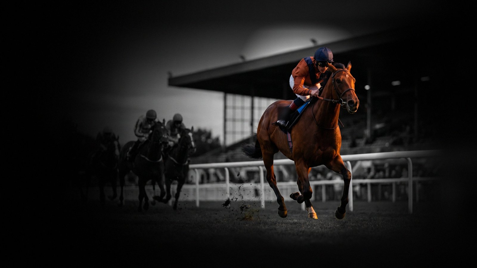 Fixed Odds vs Tote Betting: How Each One Actually Pays