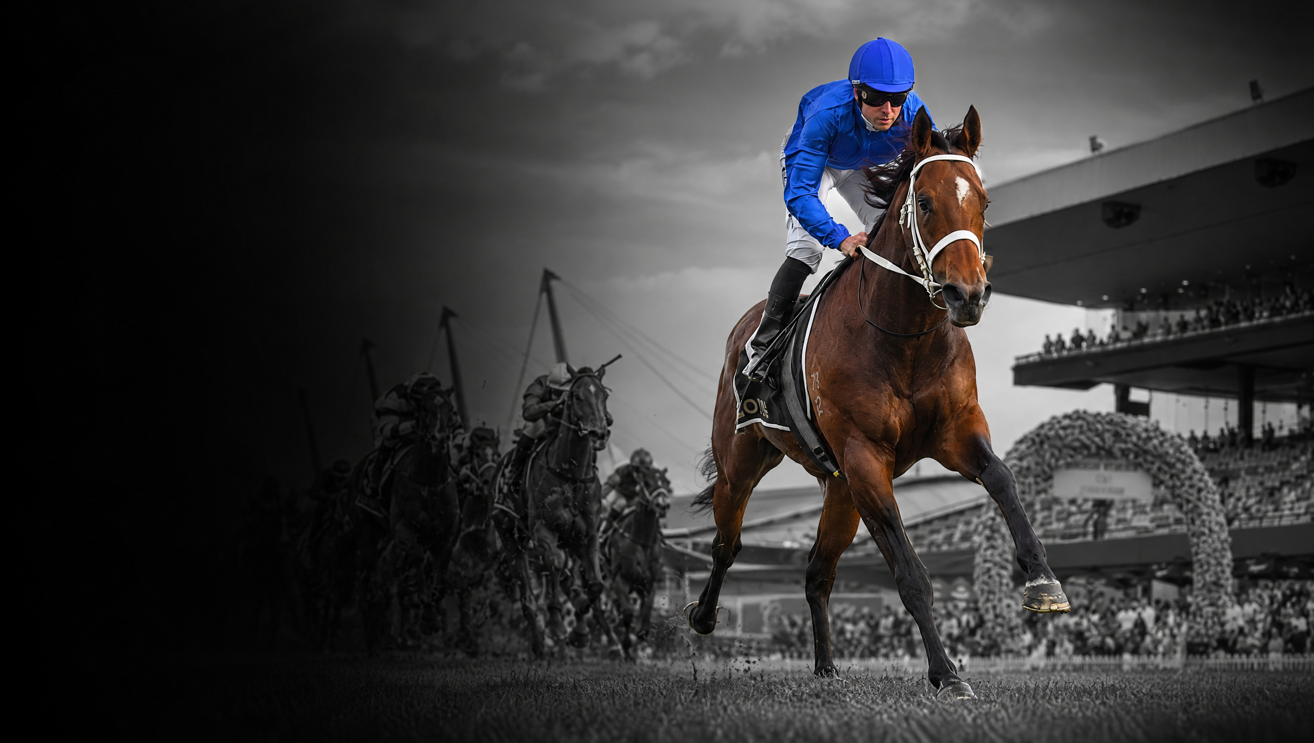 Golden Rose 2026 Field Odds and Race Preview