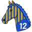 Blind Raise silks